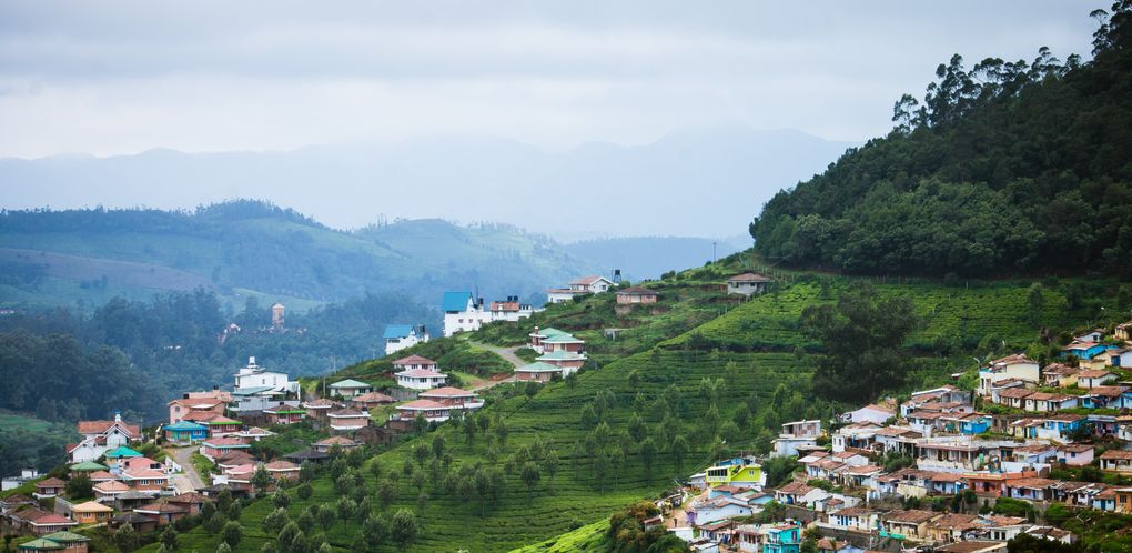Ooty